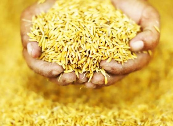 Food and Supplies department to ensure foodgrain is uninterrupted